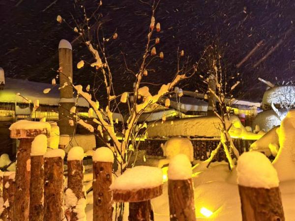 夜游雪乡，一不留神撞进了童话世界