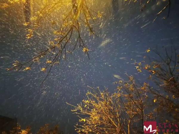 2023年的第一场雪