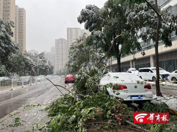 雷暴中西安迎来今冬暴雪级初雪！相关部门：实属罕见