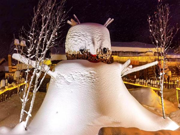 夜游雪乡，一不留神撞进了童话世界