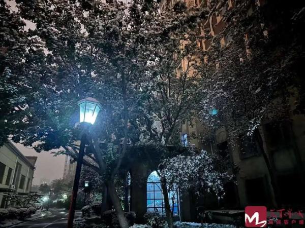 2023年的第一场雪