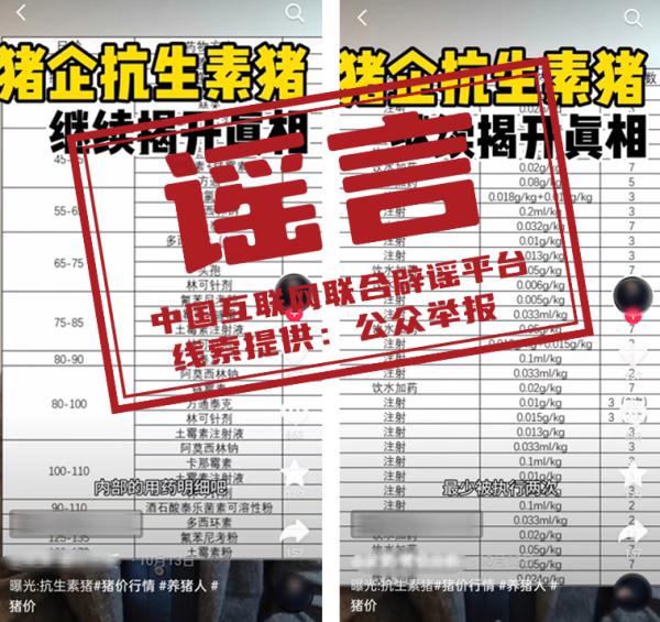 生猪140天饲养周期内用34种抗生素？真相是……