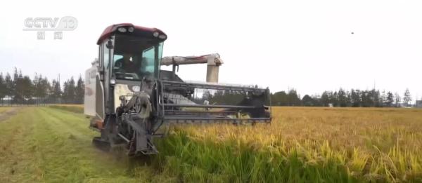 种粮“三变”!田地里“长出”新技术 助力现代循环农业高质量发展 种粮“三变”!田地里“长出”新技术 助力现代循环农业高质量发展