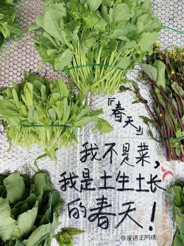 把生活写成诗，这位湖南大学生出书了！