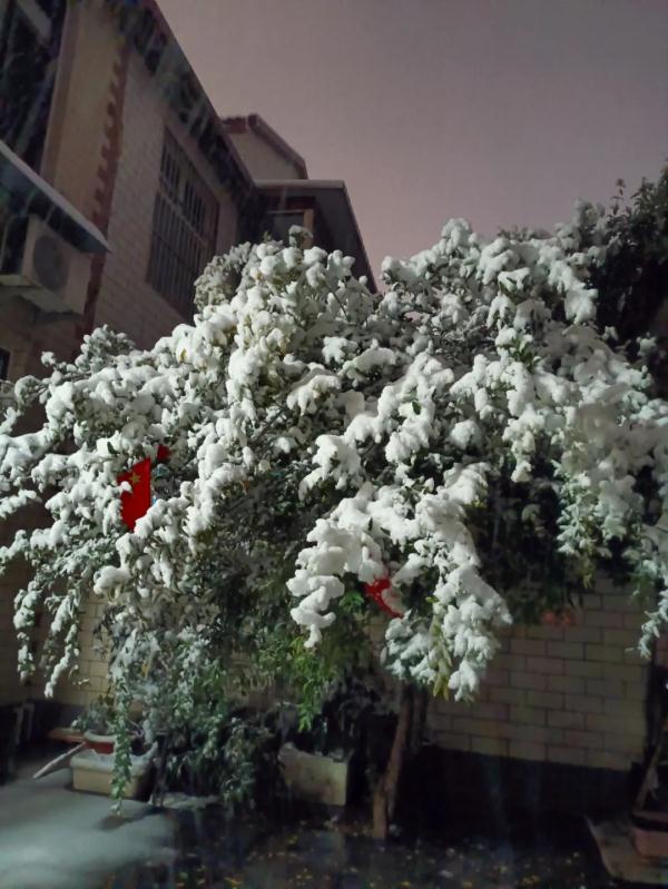 这里雪很大！原来有人工增雪！