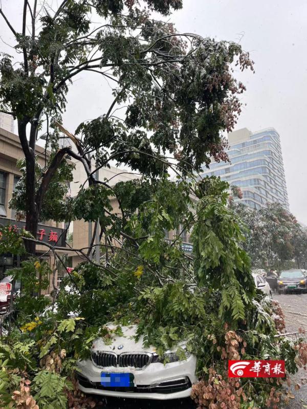 雷暴中西安迎来今冬暴雪级初雪！相关部门：实属罕见