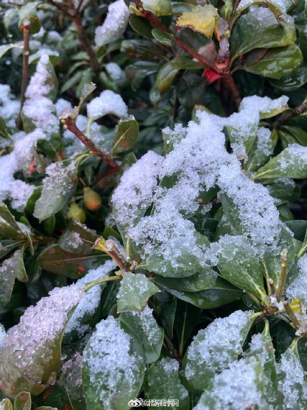 西安初雪和冬雷一起来了️