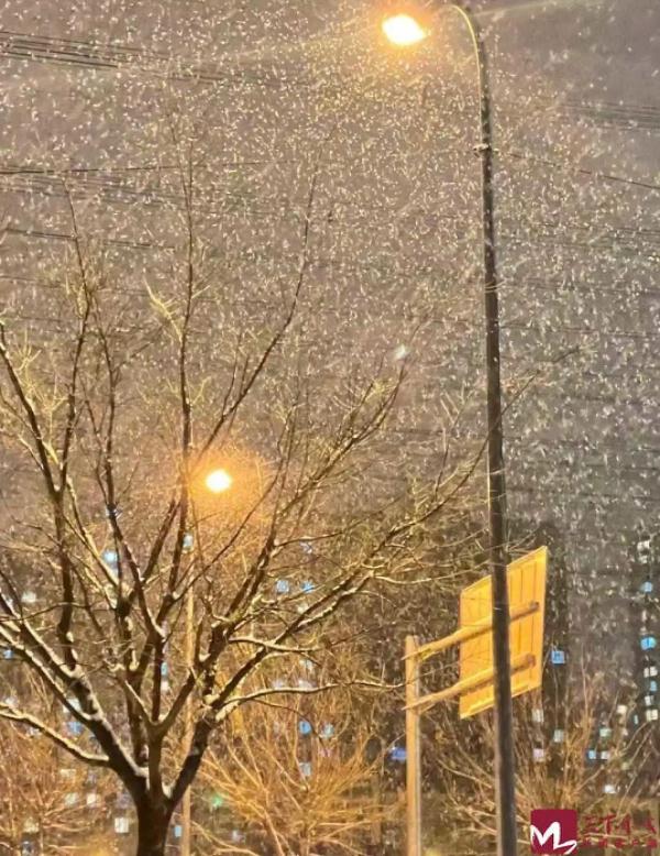 2023年的第一场雪