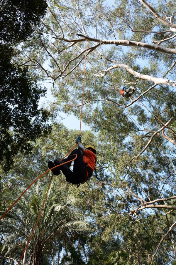 学青会53门体育课背后的体教融合专访厦门大学体育教学部主任林致诚