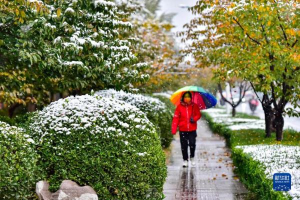 山东多地迎来今冬首场降雪