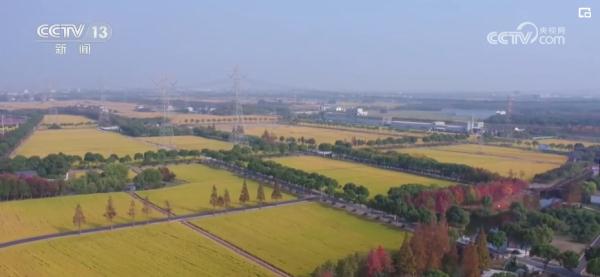 种粮“三变”!田地里“长出”新技术 助力现代循环农业高质量发展 种粮“三变”!田地里“长出”新技术 助力现代循环农业高质量发展