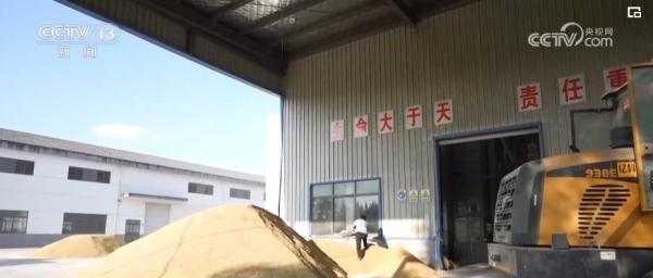 种粮“三变”!田地里“长出”新技术 助力现代循环农业高质量发展 种粮“三变”!田地里“长出”新技术 助力现代循环农业高质量发展