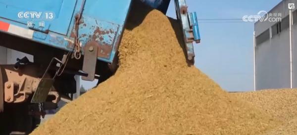 种粮“三变”!田地里“长出”新技术 助力现代循环农业高质量发展 种粮“三变”!田地里“长出”新技术 助力现代循环农业高质量发展