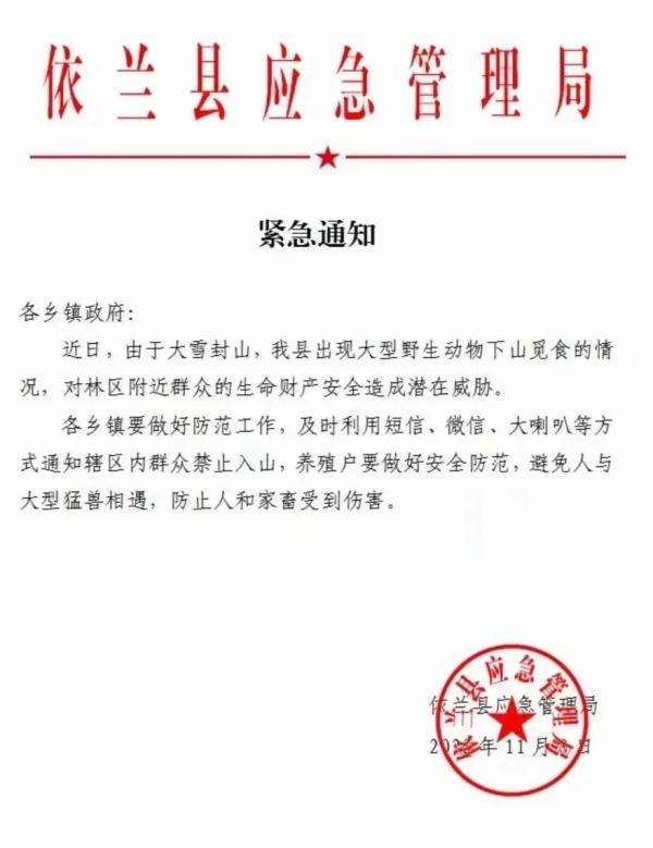 村民早上喂狗，发现只剩狗头……两地紧急通知：非必要不外出！