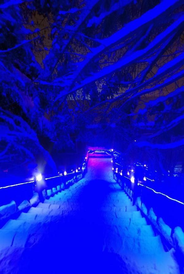夜游雪乡，一不留神撞进了童话世界