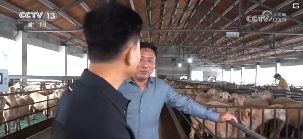 种粮“三变”!田地里“长出”新技术 助力现代循环农业高质量发展 种粮“三变”!田地里“长出”新技术 助力现代循环农业高质量发展