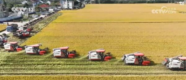 种粮“三变”!田地里“长出”新技术 助力现代循环农业高质量发展 种粮“三变”!田地里“长出”新技术 助力现代循环农业高质量发展