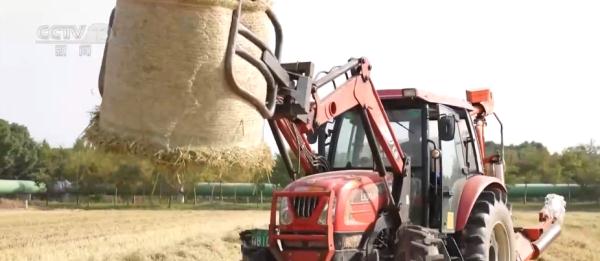 种粮“三变”!田地里“长出”新技术 助力现代循环农业高质量发展 种粮“三变”!田地里“长出”新技术 助力现代循环农业高质量发展