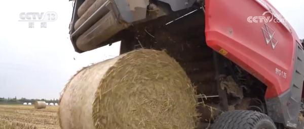 种粮“三变”!田地里“长出”新技术 助力现代循环农业高质量发展 种粮“三变”!田地里“长出”新技术 助力现代循环农业高质量发展