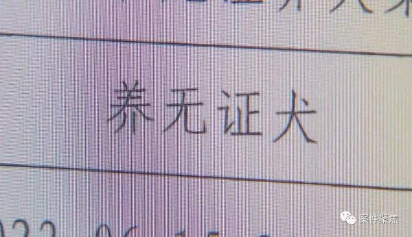 金毛犬未戴嘴套挣脱牵引绳咬伤泰迪犬 狗咬狗谁该负责？ 法院这样判！