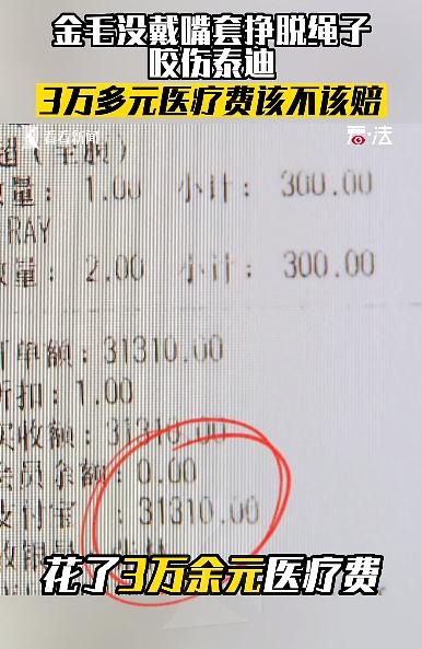 金毛犬未戴嘴套挣脱牵引绳咬伤泰迪犬 狗咬狗谁该负责？ 法院这样判！