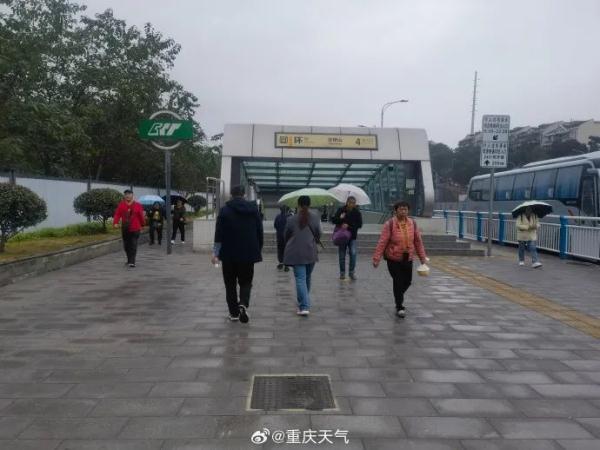 局地最低仅4℃！重庆有冬日限定款冰花啦