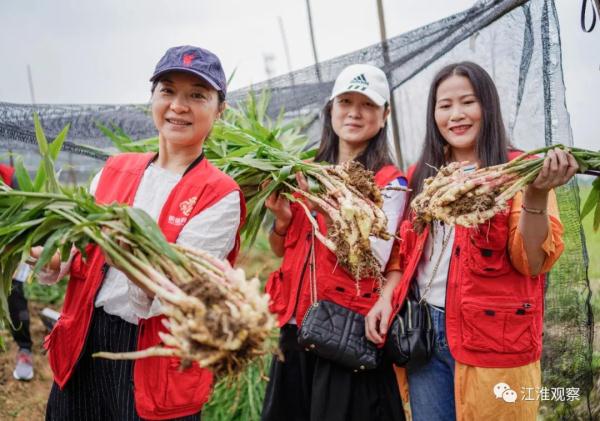 一块姜，凭什么“征服”世界？