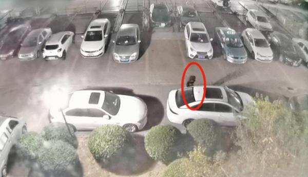 男子酒后随机扎轮胎，37辆汽车遭殃