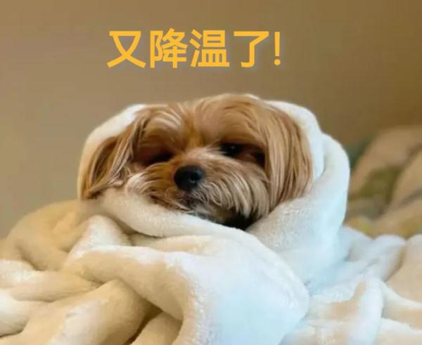 最低-3℃！江西开启降温模式 另一波冷空气还在路上