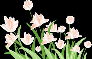 最低-3℃！江西开启降温模式 另一波冷空气还在路上