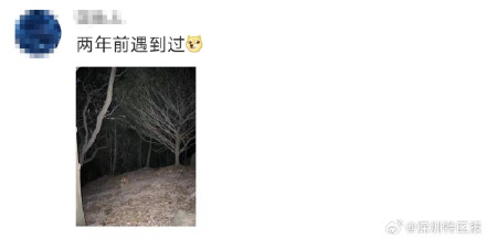 深圳阳台山惊现野生小狐狸 园区工作人员：建议市民勿投喂