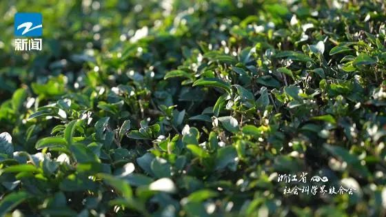 以茶代酒 这是宋人至高规格的盛宴 以茶代酒 这是宋人至高规格的盛宴