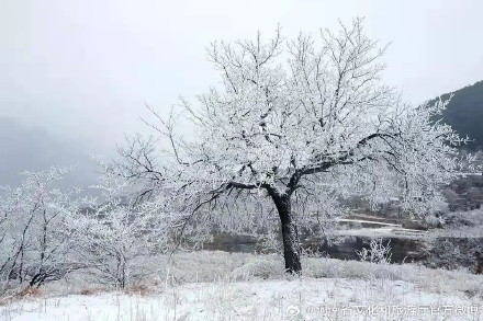 林州：太行雪景 如诗如画