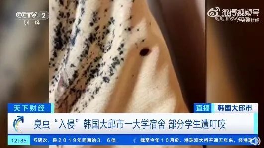 已蔓延至亚洲！多国爆发床虱危机