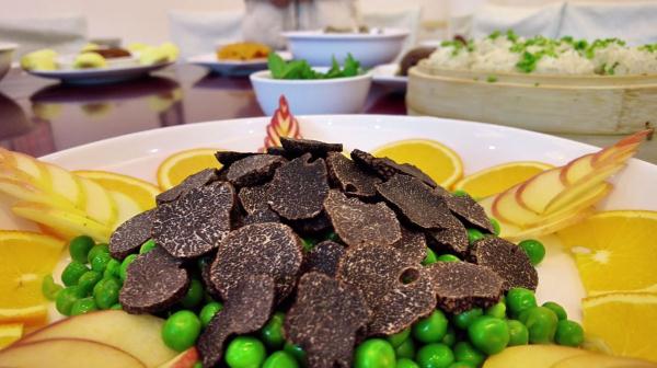 藏不住了,它的小名竟叫“猪拱菌”? 藏不住了,它的小名竟叫“猪拱菌”?