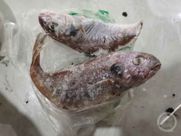 宁波女子做了一条红烧鱼，半夜竟然发绿光！咋回事？