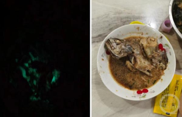 浙江一阿姨买海鱼红烧后，半夜发绿光！