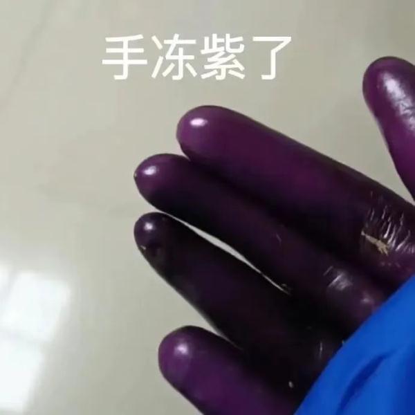 手都冻紫了，正如上海的气温图……这个冬天会出现极端寒潮吗？