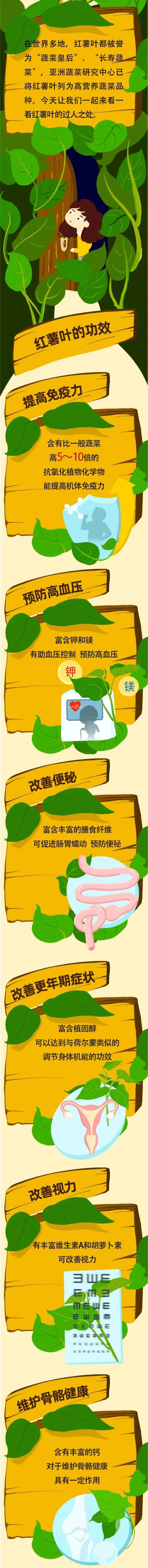 每天都应该吃的平价“长寿蔬果”,还有这些好处 每天都应该吃的平价“长寿蔬果”,还有这些好处