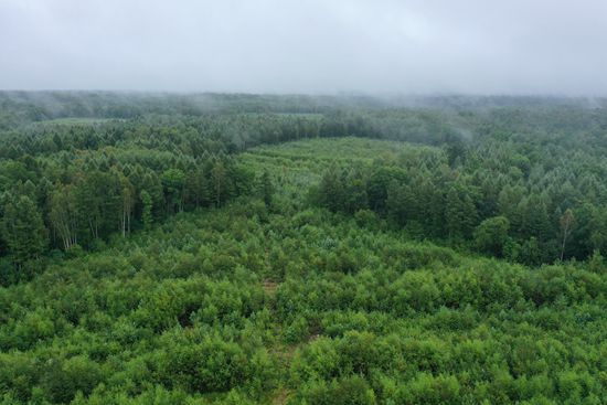 遥望月亮之上 横跨东西的深空探测“巨眼”开建 遥望月亮之上 横跨东西的深空探测“巨眼”开建