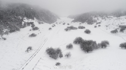 重庆仙女山迎近十年最早降雪