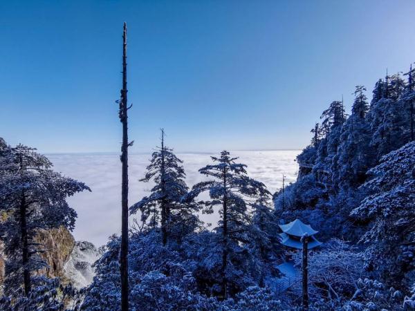四川瓦屋山迎来初雪！云海、飞瀑美不胜收