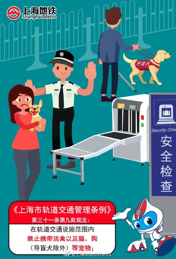 有乘客在地铁里满车厢抓鹦鹉？广州地铁回应