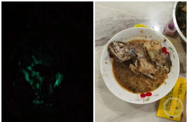吃剩的红烧鱼后半夜发绿光？原来是感染了这种菌