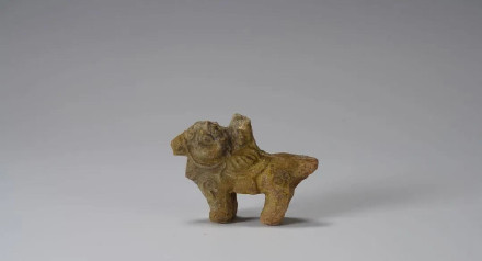 考古新发现！陕西咸阳发现战国晚期秦人平民墓地