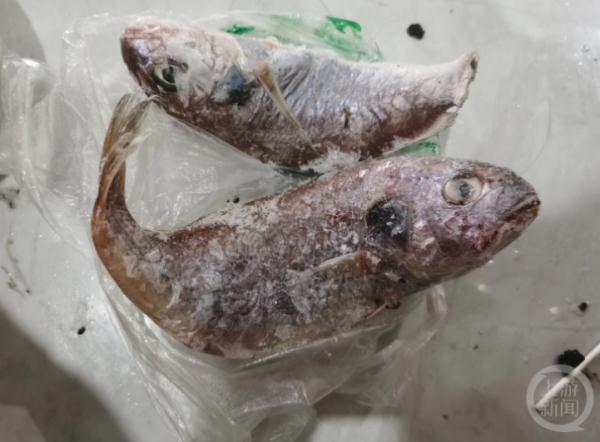 浙江一阿姨买海鱼红烧后，半夜发绿光！