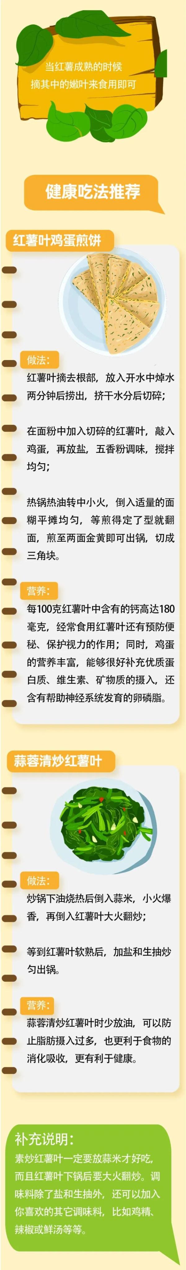 每天都应该吃的平价“长寿蔬果”,还有这些好处 每天都应该吃的平价“长寿蔬果”,还有这些好处