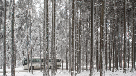 重庆仙女山迎近十年最早降雪