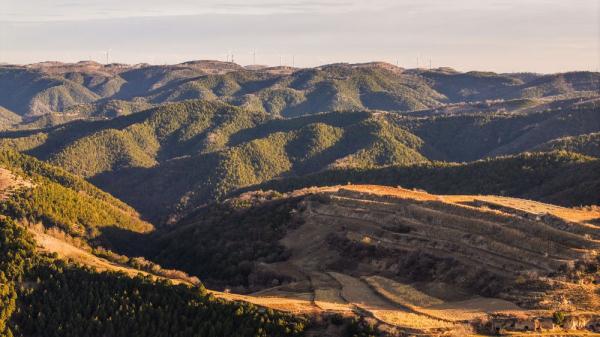 陕西志丹：满目青山披霞光