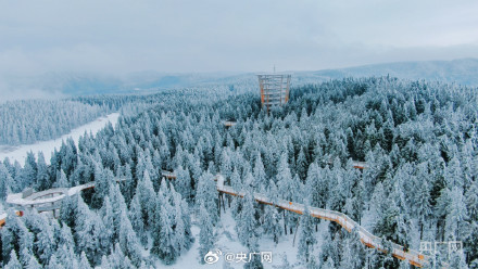 重庆仙女山迎近十年最早降雪